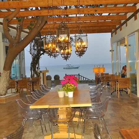 Sunprime Dogan - Adult Only Сиде