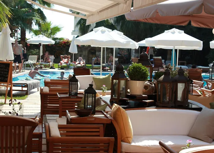 Sunprime Dogan - Adult Only Side