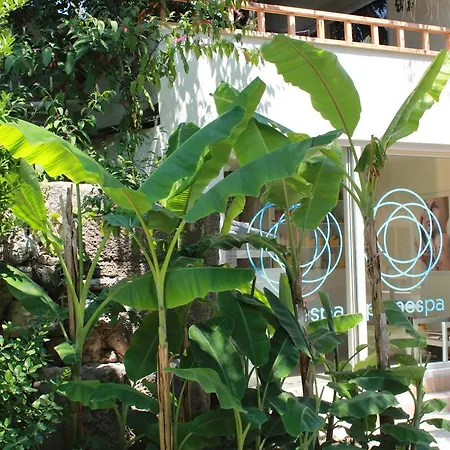 Sunprime Dogan - Adult Only Hotel Side